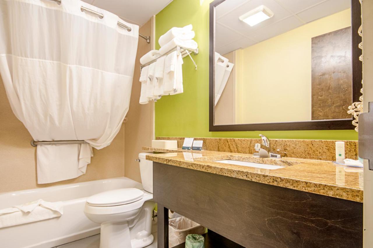 Quality & - Albany South Glenmont